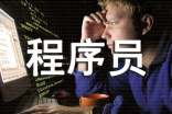 程序员个人工作总结