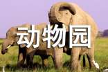 动物园作文(热门)