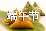 传统节日端午节优秀作文