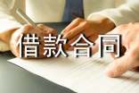 最新个人借款合同