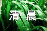 清晨作文600字(精选)