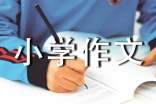 动物小学作文