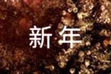 新年新气象精彩演讲稿