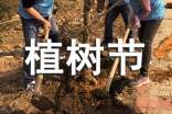 植树节优秀作文