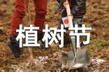 植树节活动方案范文