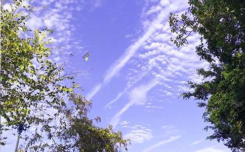 简洁的美好的早安问候语集锦54条